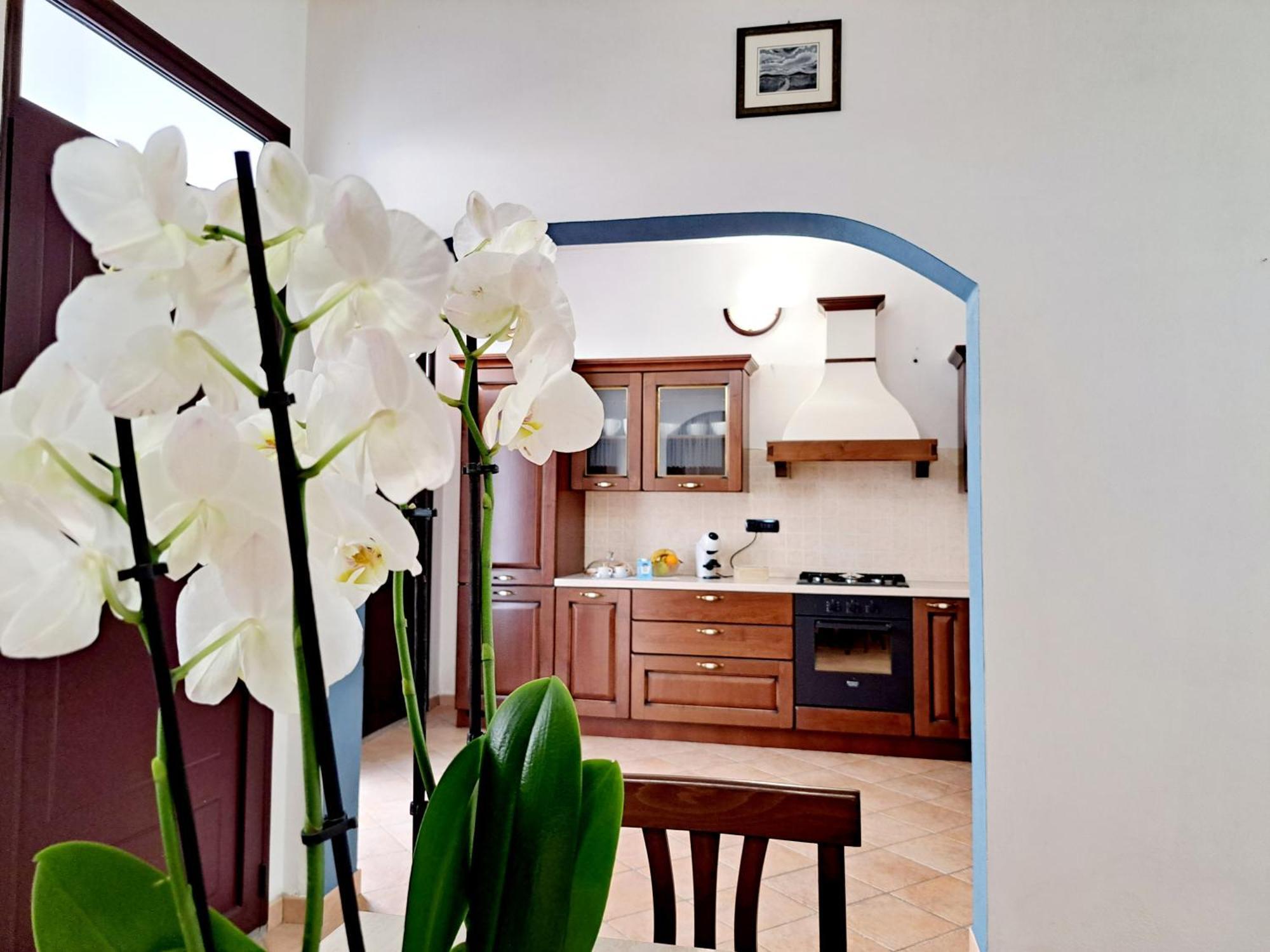 Anninnia Guest House B&B - Ghiiarza Ghilarza المظهر الخارجي الصورة